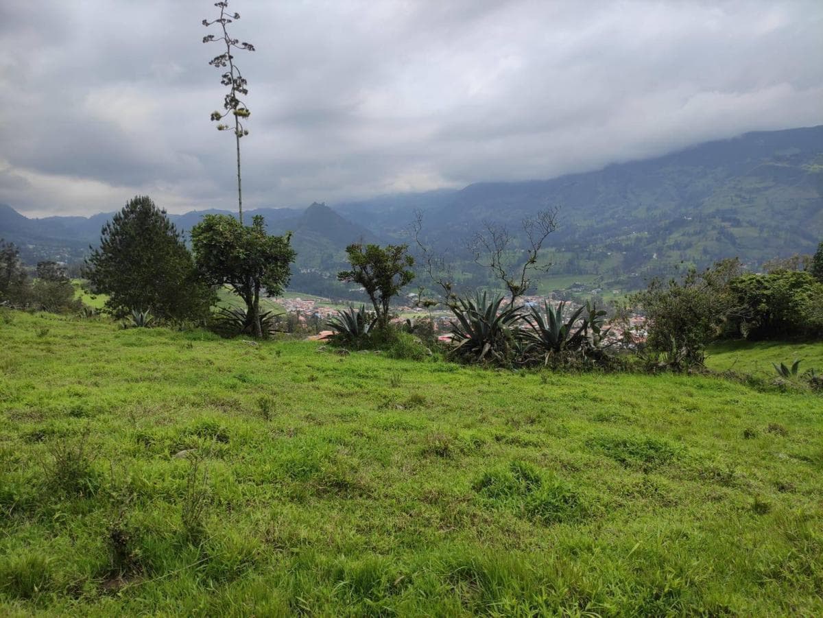 Terrenos de Venta en Azuay Zona Residencial, Sector Cachiloma, Azuay — imagen 6