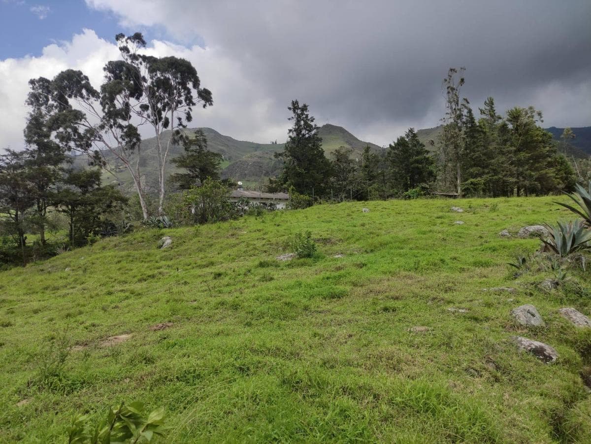 Terrenos de Venta en Azuay Zona Residencial, Sector Cachiloma, Azuay — imagen 5