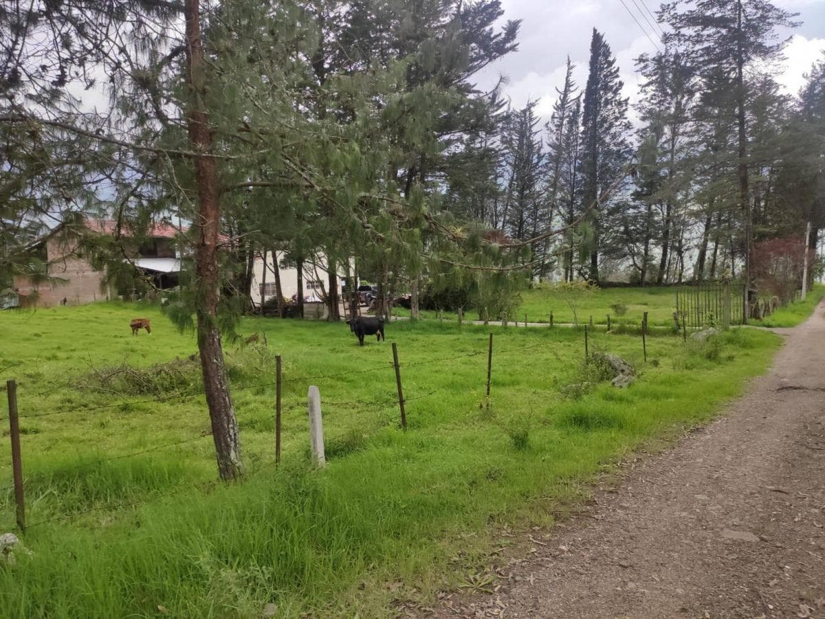 Terrenos de Venta en Azuay Zona Residencial, Sector Cachiloma, Azuay — imagen 4