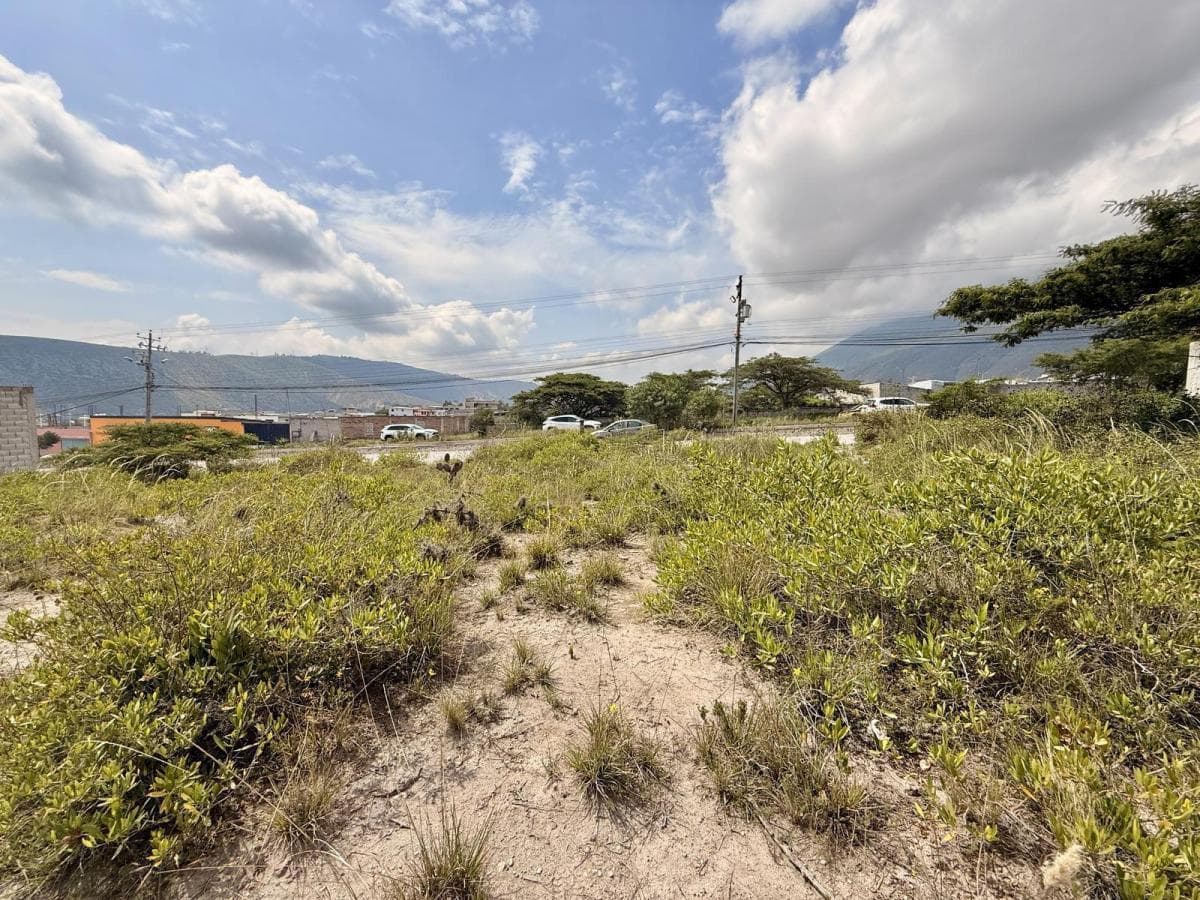 Vendo Terreno de 2.850 m² en San Antonio de Pichincha — imagen 6