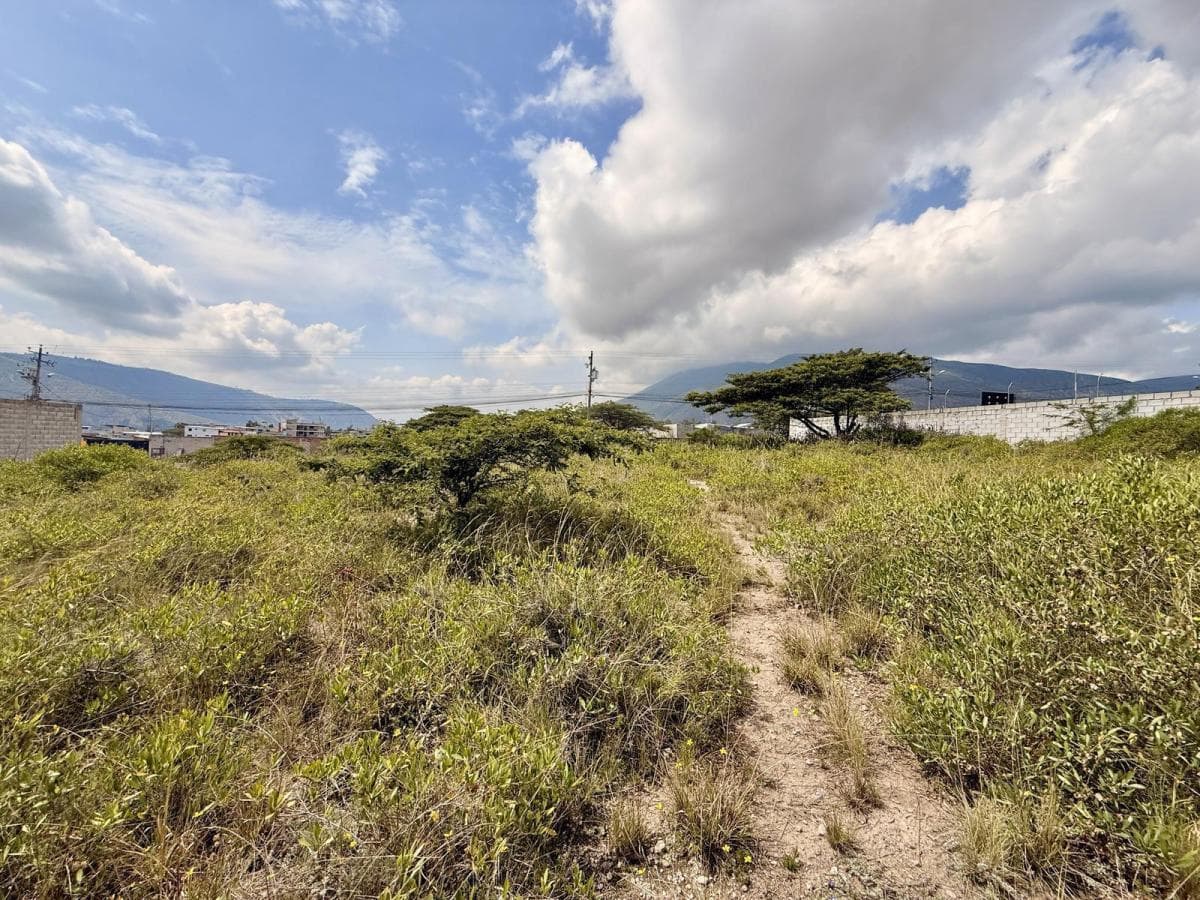 Vendo Terreno de 2.850 m² en San Antonio de Pichincha — imagen 4