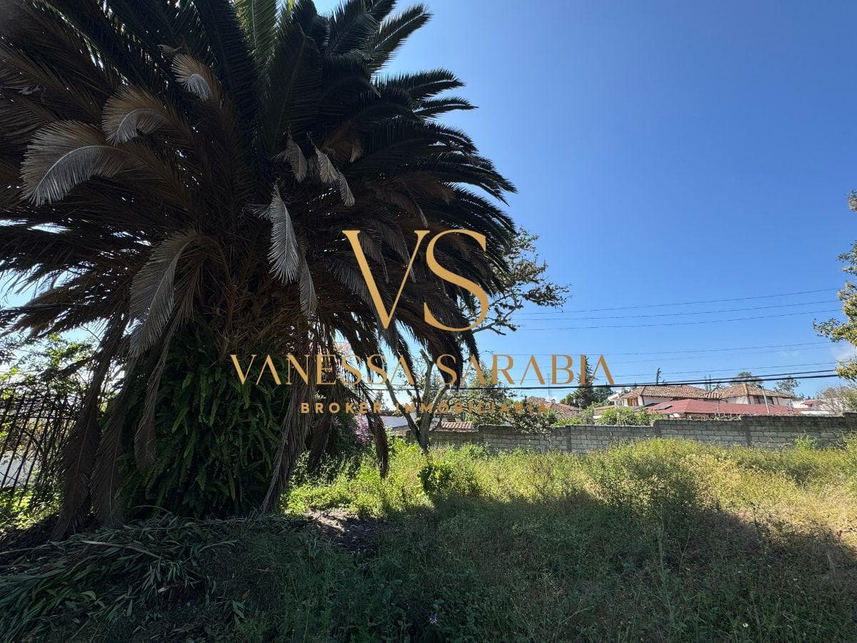 Terreno de 1680 m² Mas Casa de Venta en El Sector de Tumbaco — imagen 7