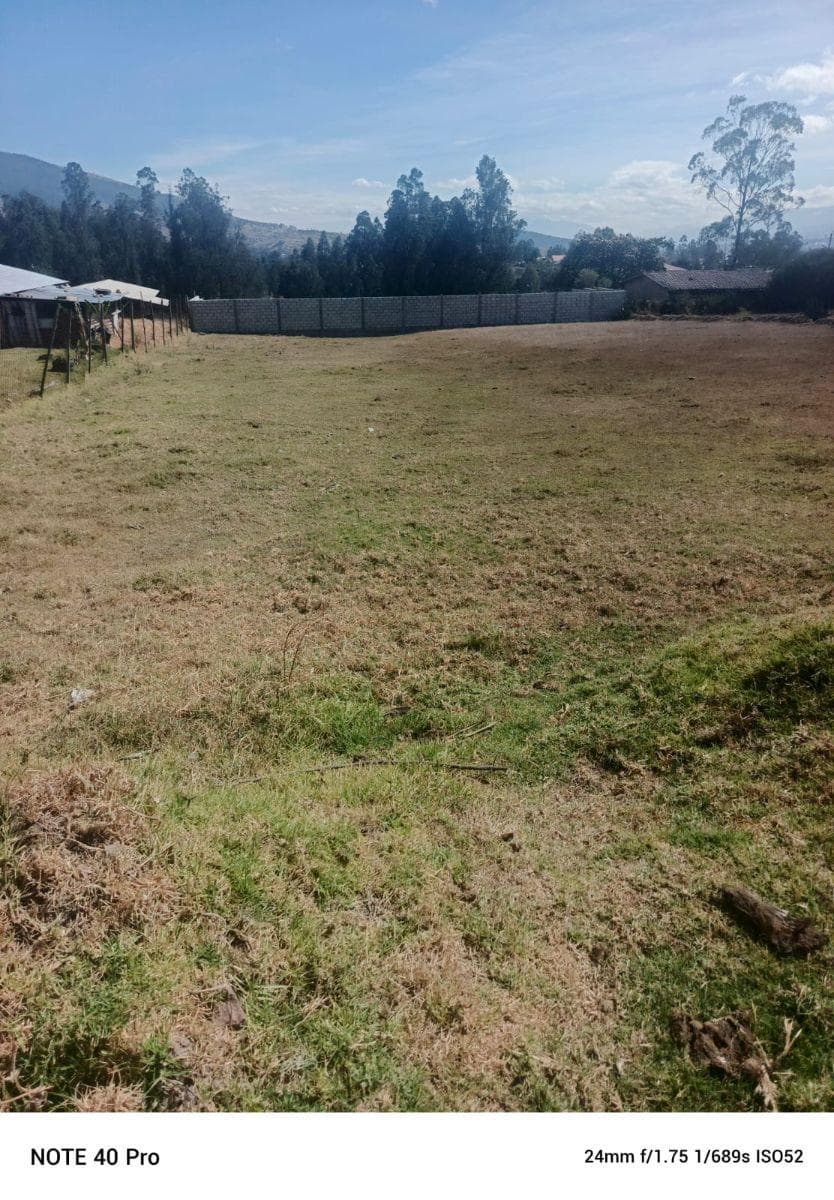 Venta Terreno La Merced 2.011 m² — imagen 10