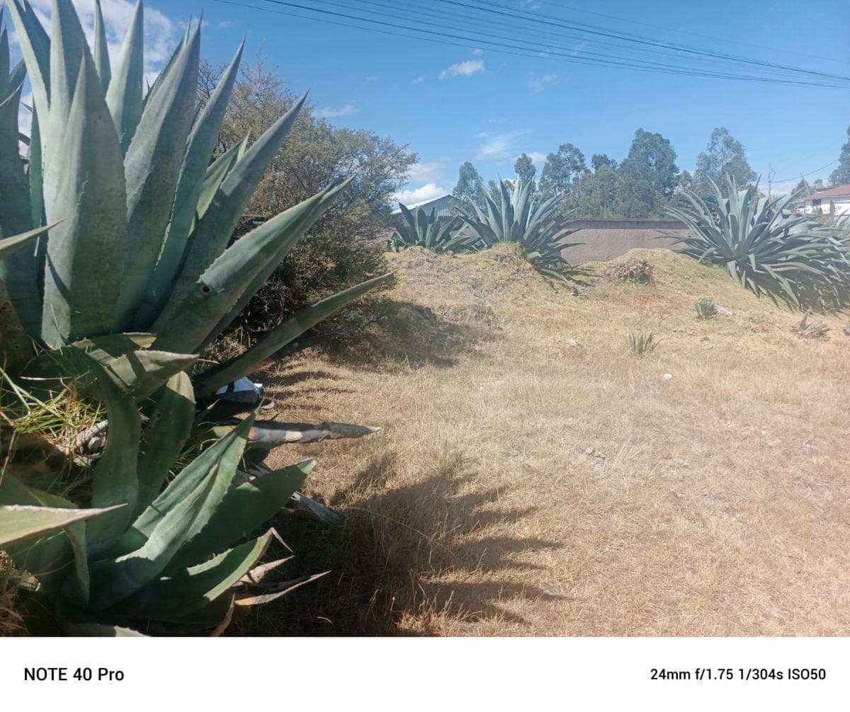 Venta Terreno La Merced 2.011 m² — imagen 7