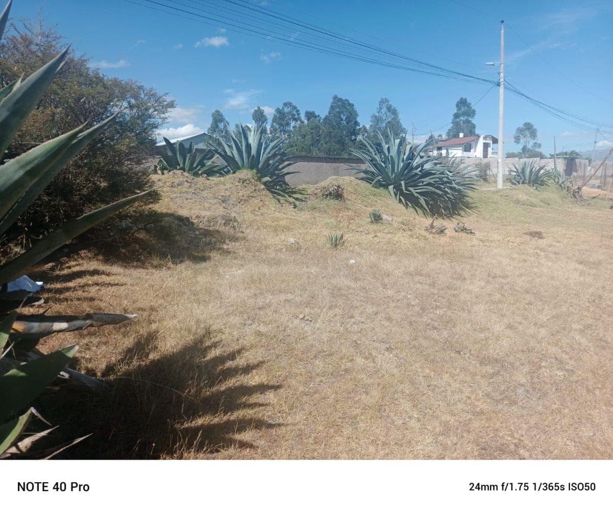 Venta Terreno La Merced 2.011 m² — imagen 5