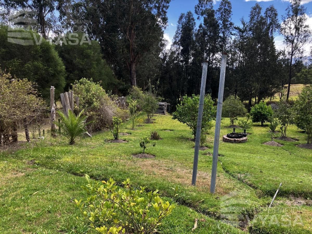 Tumbaco - La Cerámica, Excelente Terreno de 2.000 m² en Venta — imagen 9