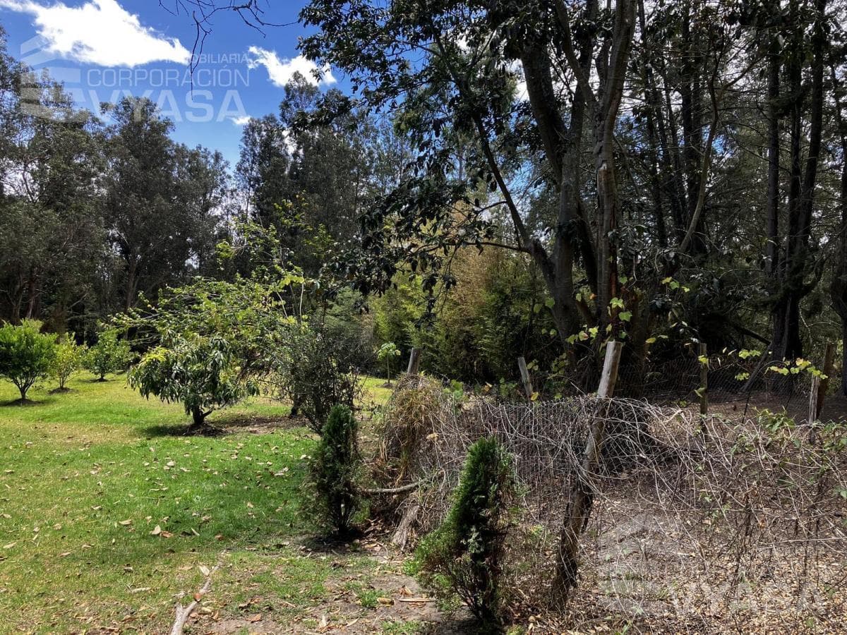 Tumbaco - La Cerámica, Excelente Terreno de 2.000 m² en Venta — imagen 6