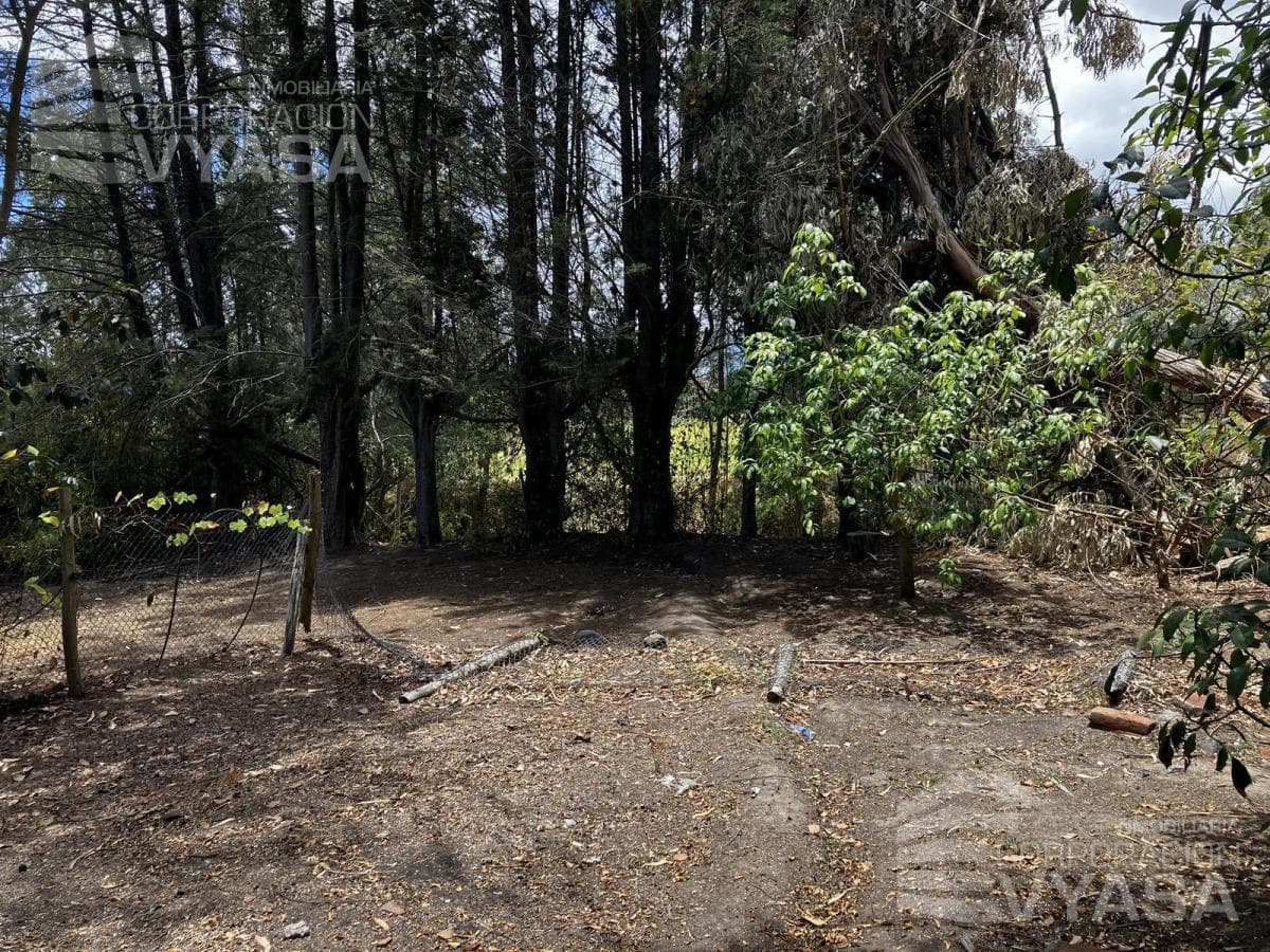 Tumbaco - La Cerámica, Excelente Terreno de 2.000 m² en Venta — imagen 5