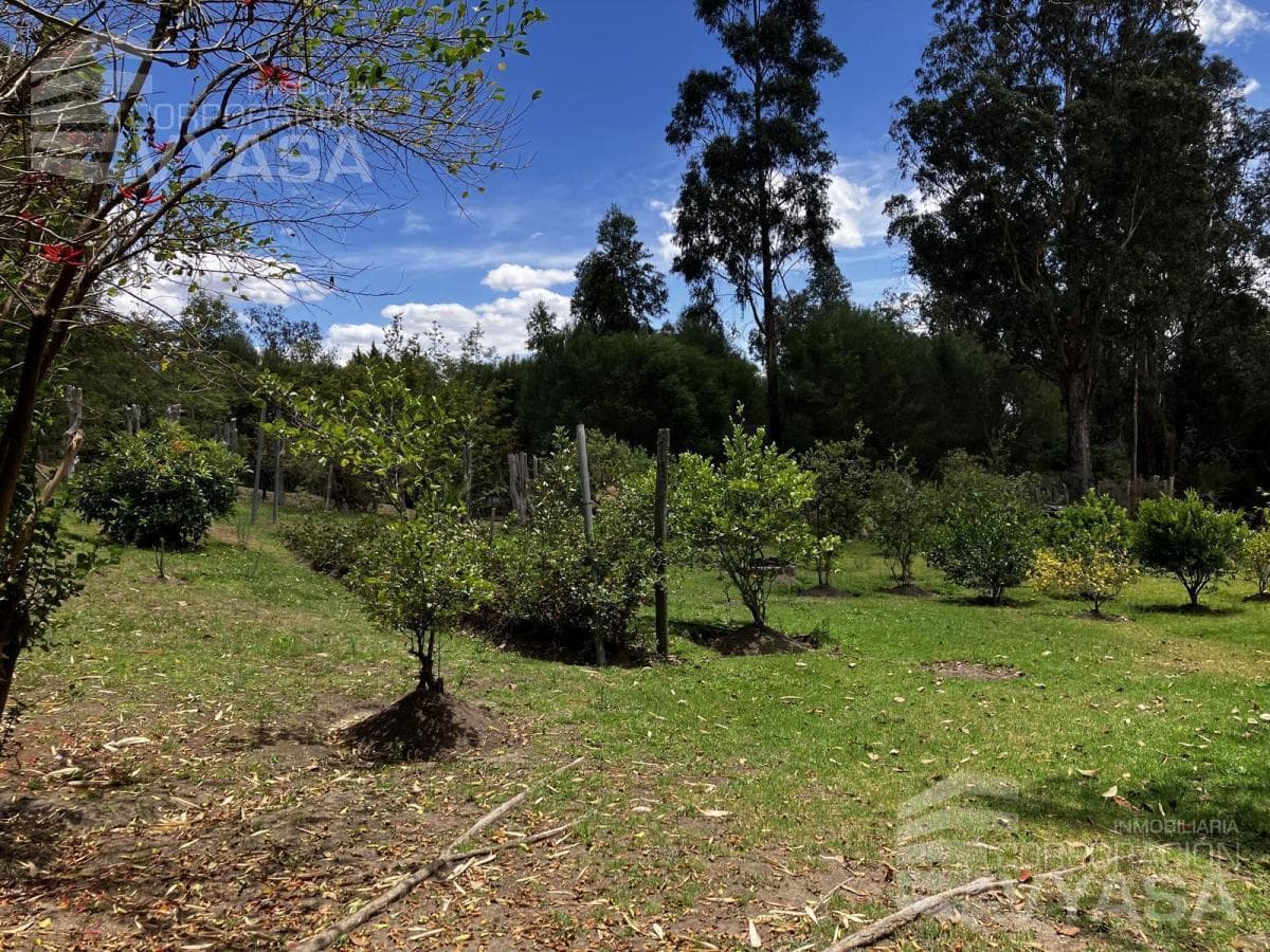 Tumbaco - La Cerámica, Excelente Terreno de 2.000 m² en Venta — imagen 4