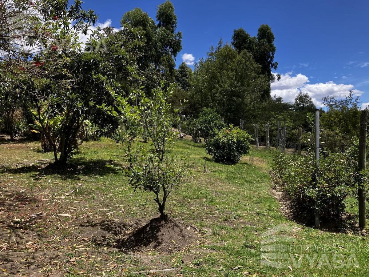 Tumbaco - La Cerámica, Excelente Terreno de 2.000 m² en Venta — imagen 3