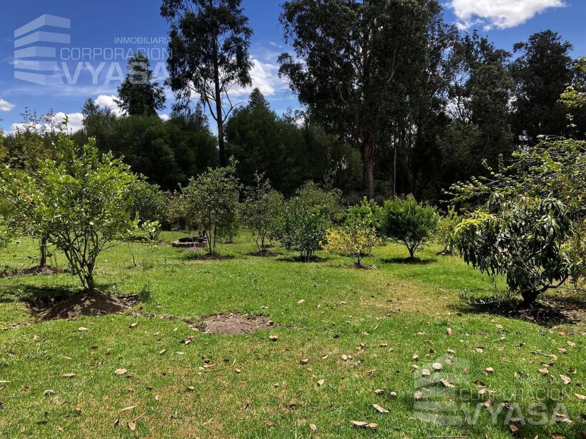 Tumbaco - La Cerámica, Excelente Terreno de 2.000 m² en Venta — imagen 2