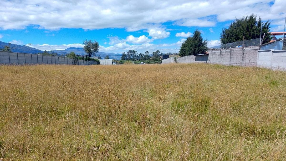 Terreno en Renta Parque Industrial del Sur — imagen 8
