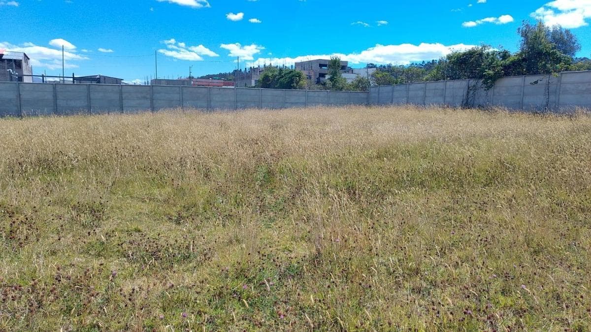 Terreno en Renta Parque Industrial del Sur — imagen 7