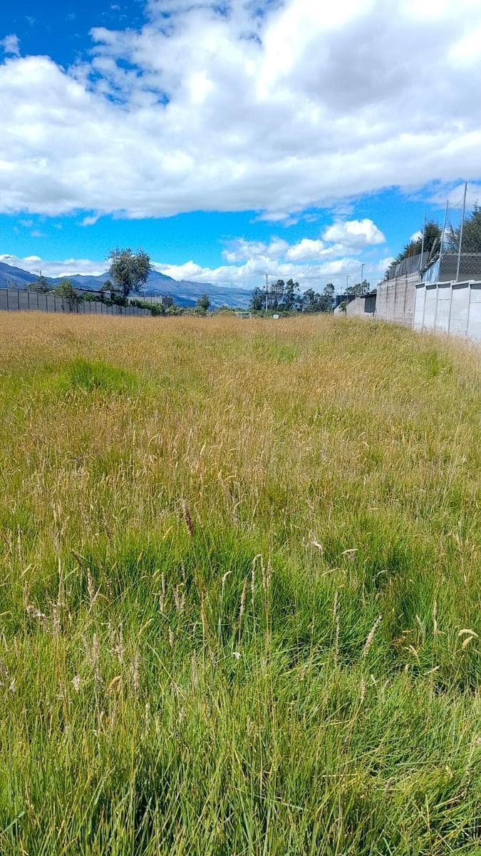 Terreno en Renta Parque Industrial del Sur — imagen 5