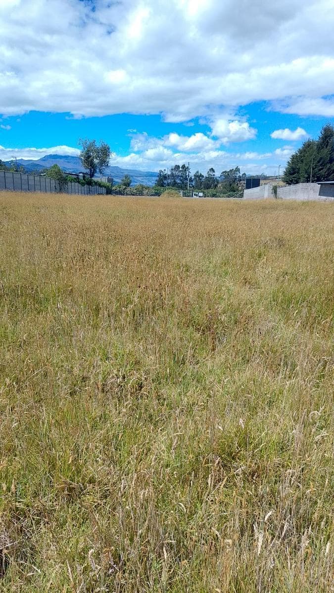 Terreno en Renta Parque Industrial del Sur — imagen 4