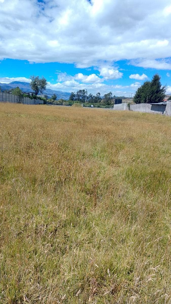 Terreno en Renta Parque Industrial del Sur — imagen 3