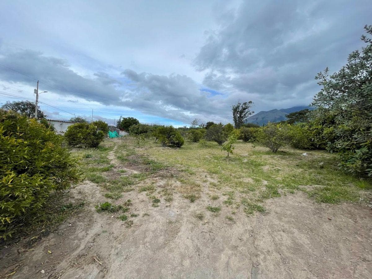 Venta de Terrenos en San José de Chaltura – Ibarra, Imbabura — imagen 2
