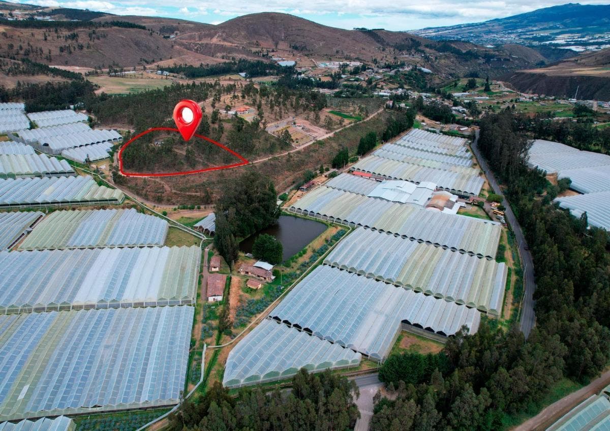 Terreno en Venta en Cangahua — imagen 9