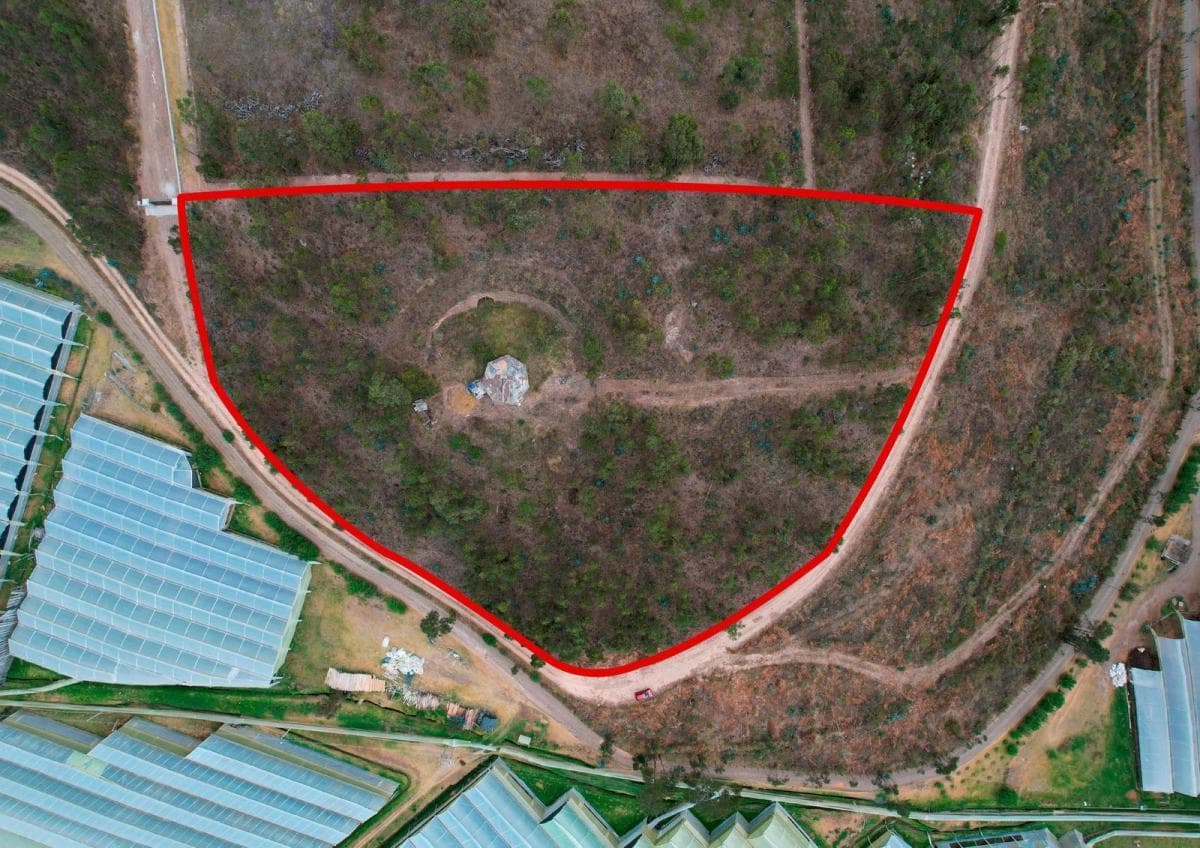 Terreno en Venta en Cangahua — imagen 8