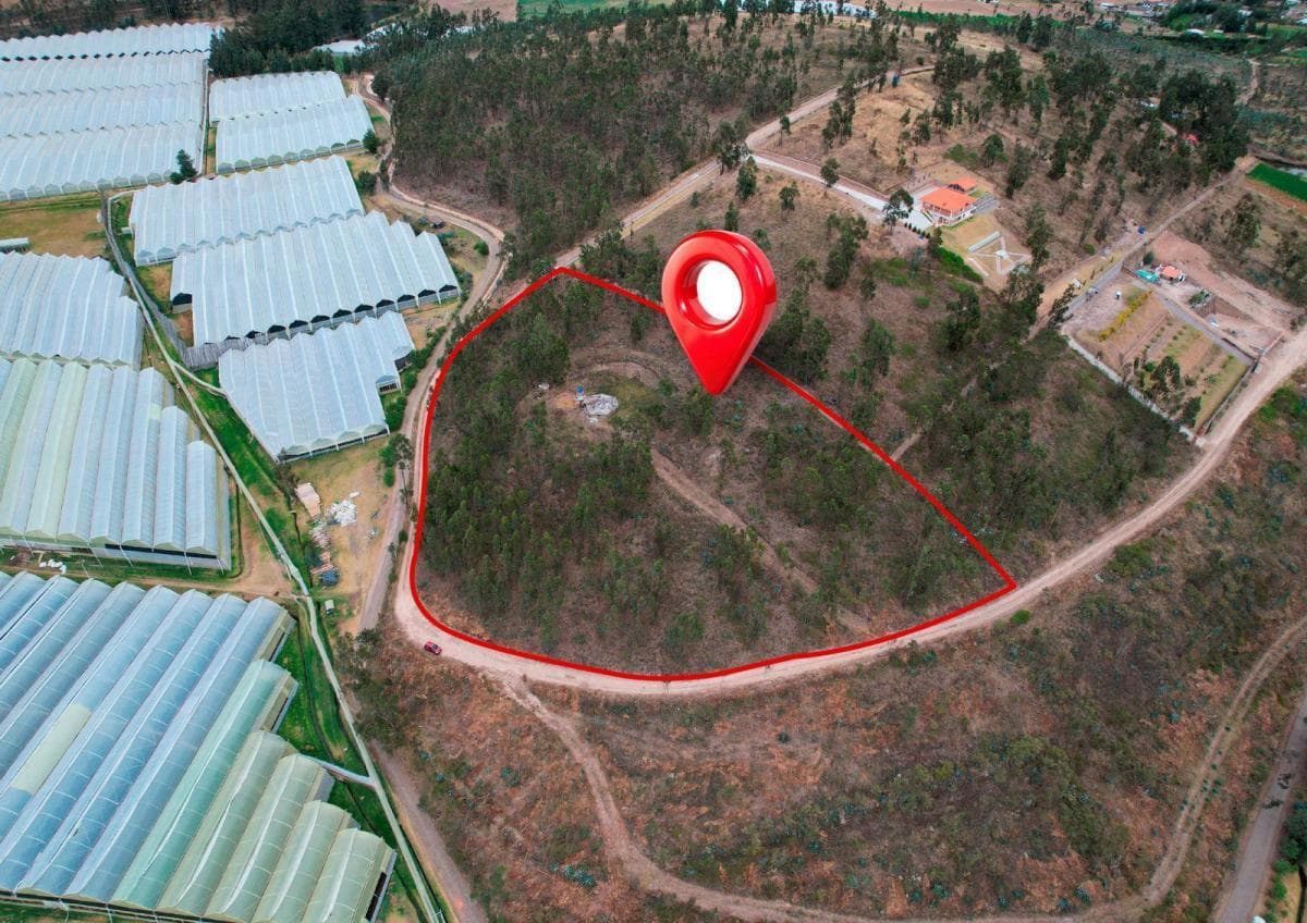 Terreno en Venta en Cangahua — imagen 5
