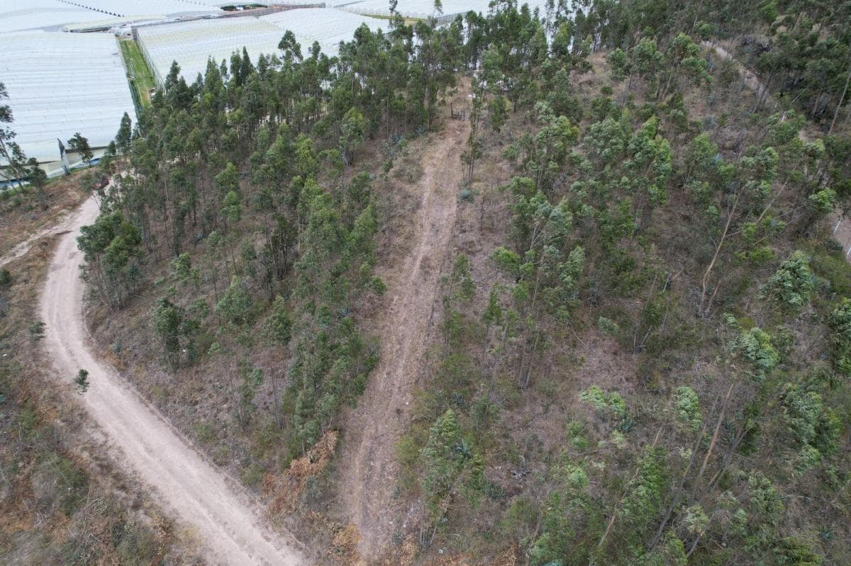 Terreno en Venta en Cangahua — imagen 2