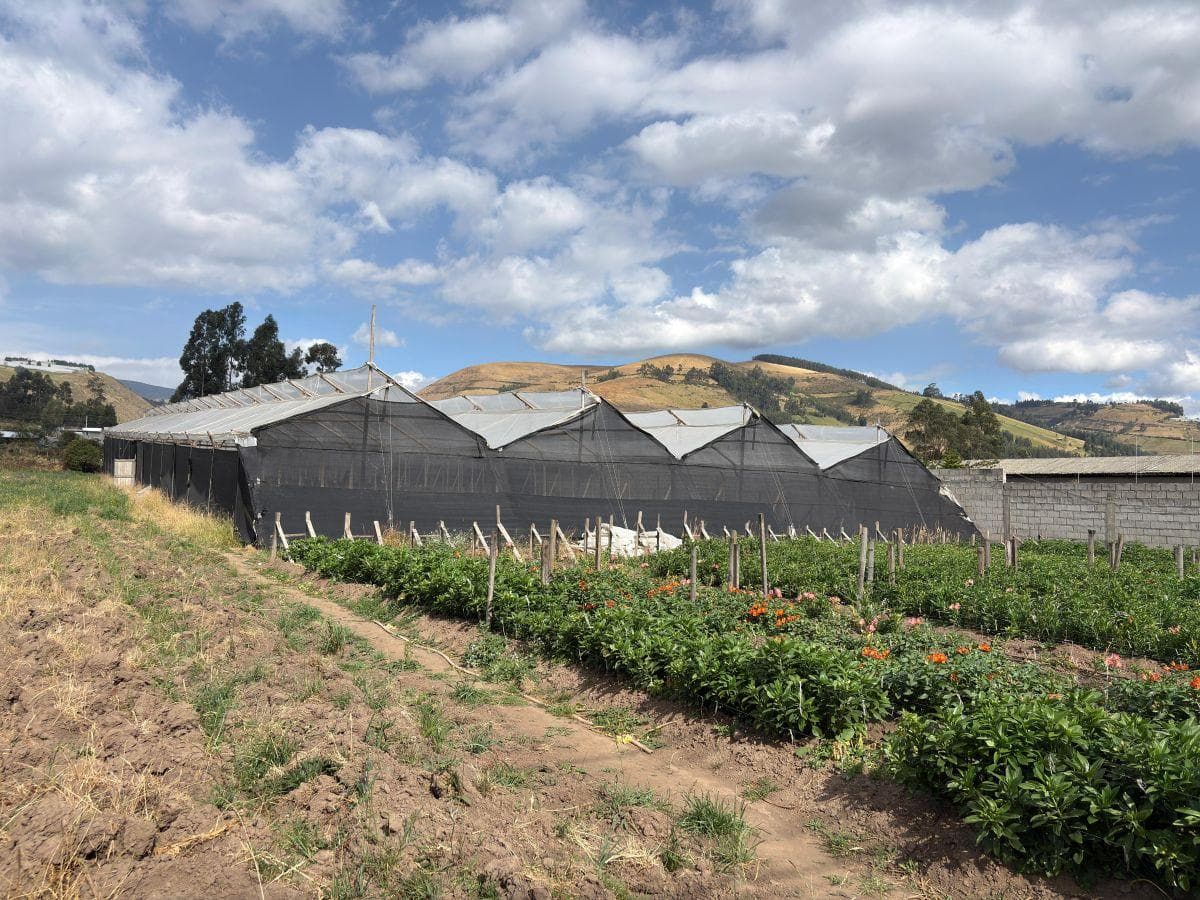 Terreno en venta en Cayambe, Pichincha