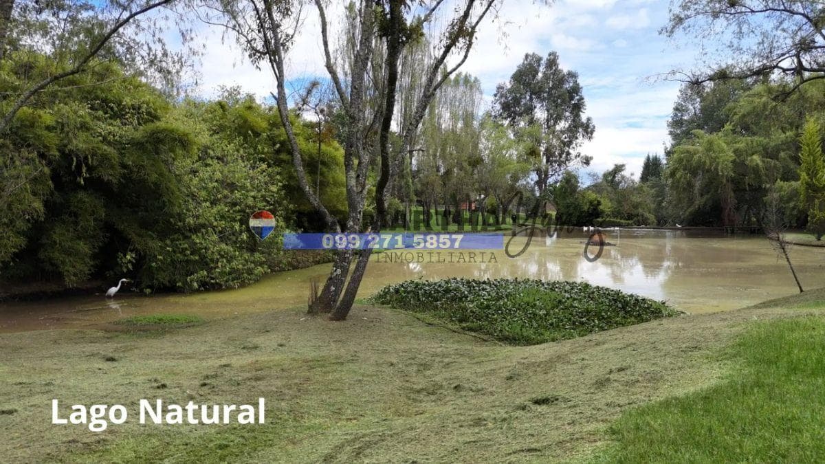 Vendo Terreno en La Urbanización Club Los Chillos, Valle de Los Chillos, Sector Selva Alegre. Provincia de Pichincha — imagen 2