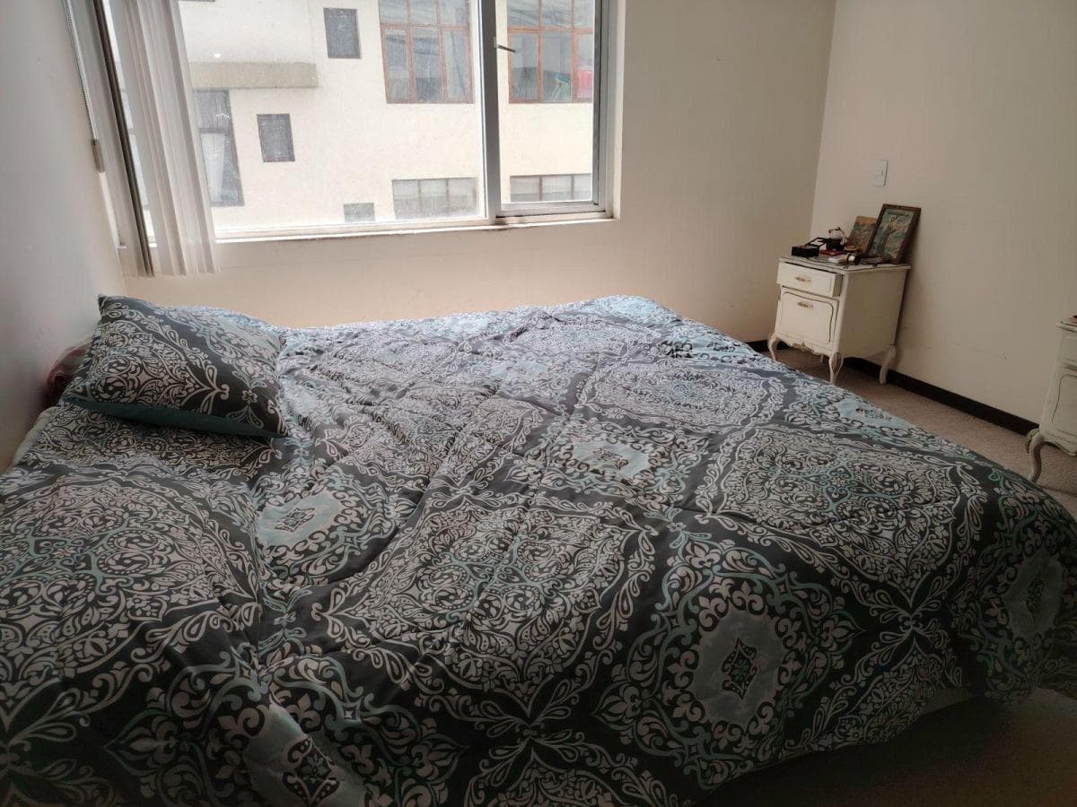 La Carolina Venta de Oportunidad Departamento 3 Dorm. — imagen 9