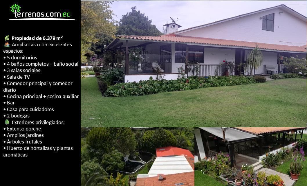 Terreno en Yaruqui 6379 m² (Terreno Plano, Casa en Perfecto Estado) — imagen 3