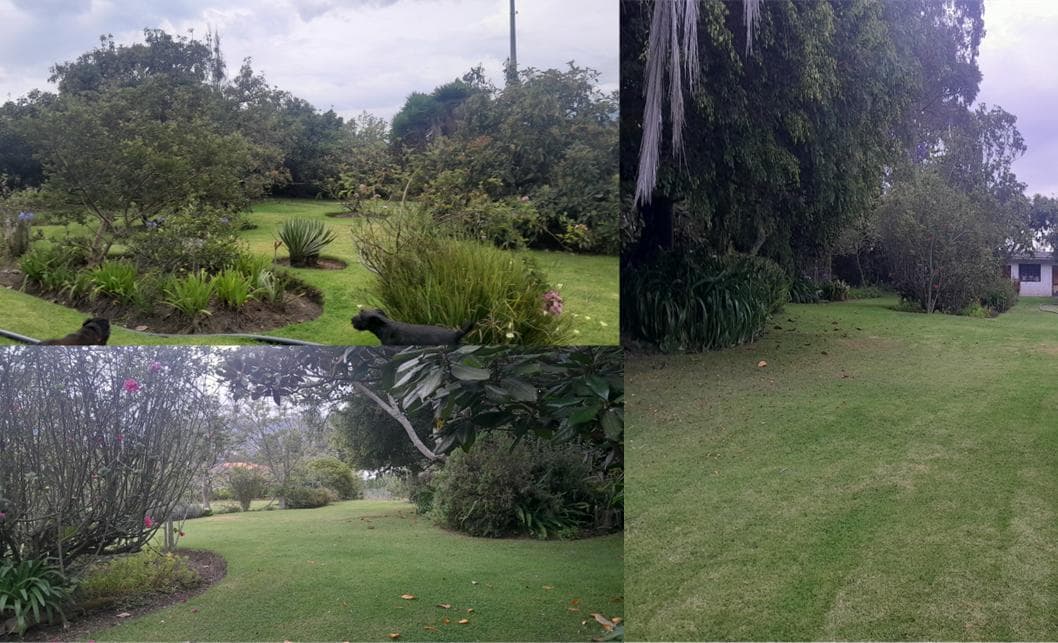 Terreno en Yaruqui 6379 m² (Terreno Plano, Casa en Perfecto Estado) — imagen 2