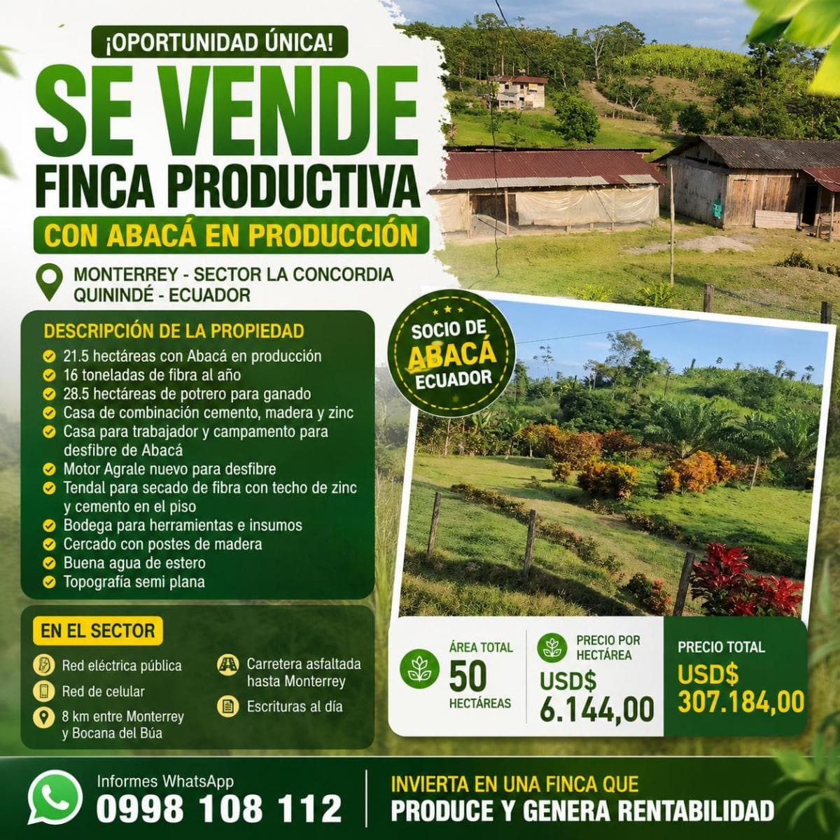 Se Vende Finca con Abacá en Produccion, en Monterrey - La Concordia - Santo Domingo - Ecuador — imagen 1