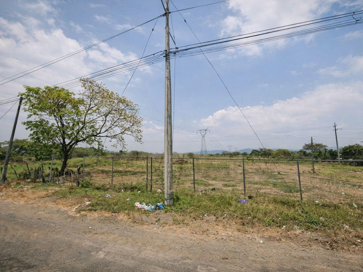 Terreno en Venta E 24 Ha en Vía a Daule, Entre Km²0 - 30, Guayas — imagen 1