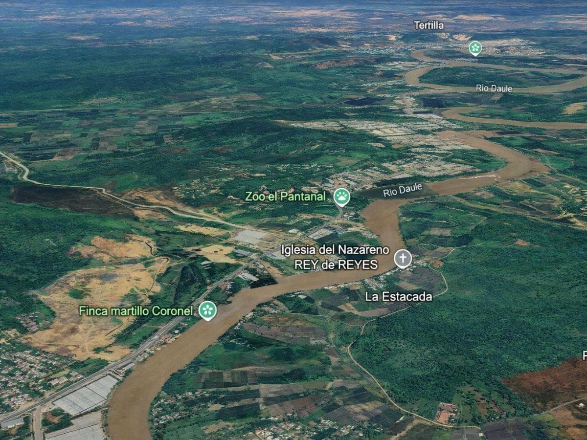 Terreno en Venta E 24 Ha en Vía a Daule, Entre Km²0 - 30, Guayas — imagen 2