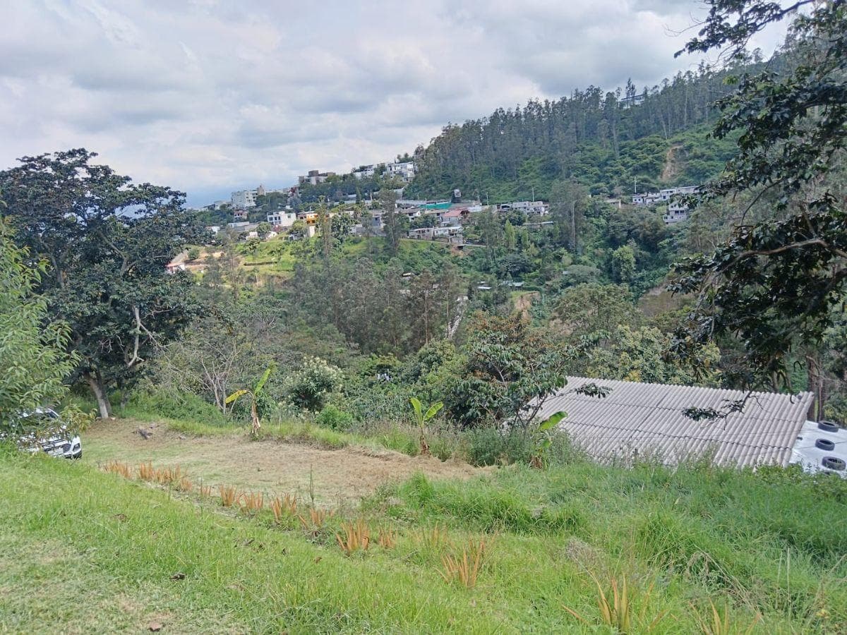 En Venta Terreno 1600 Mtrs, Casa Prefabricada 42 m, Itchimbia $120.000 — imagen 7
