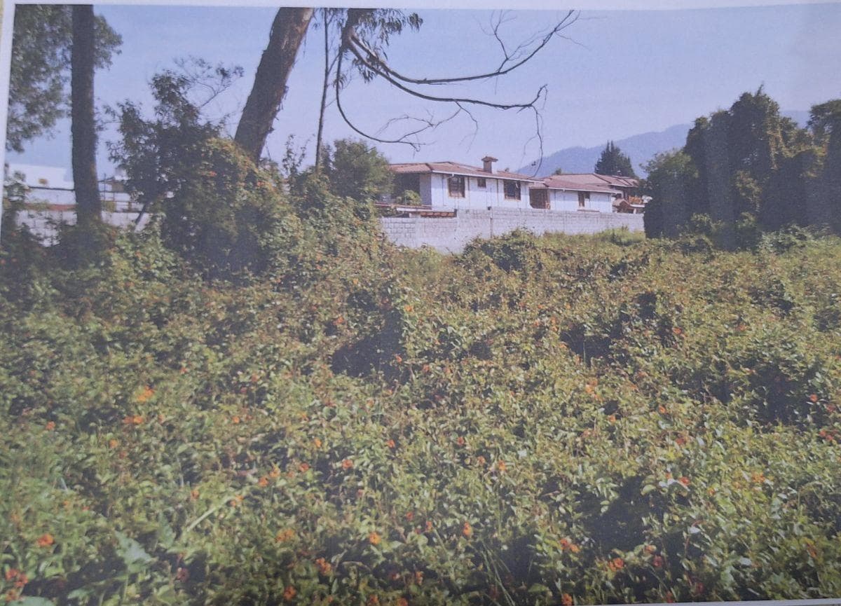 Terreno de Venta, San Gabriel (Sec. Patos Pizza) Calle Pastaza — imagen 7