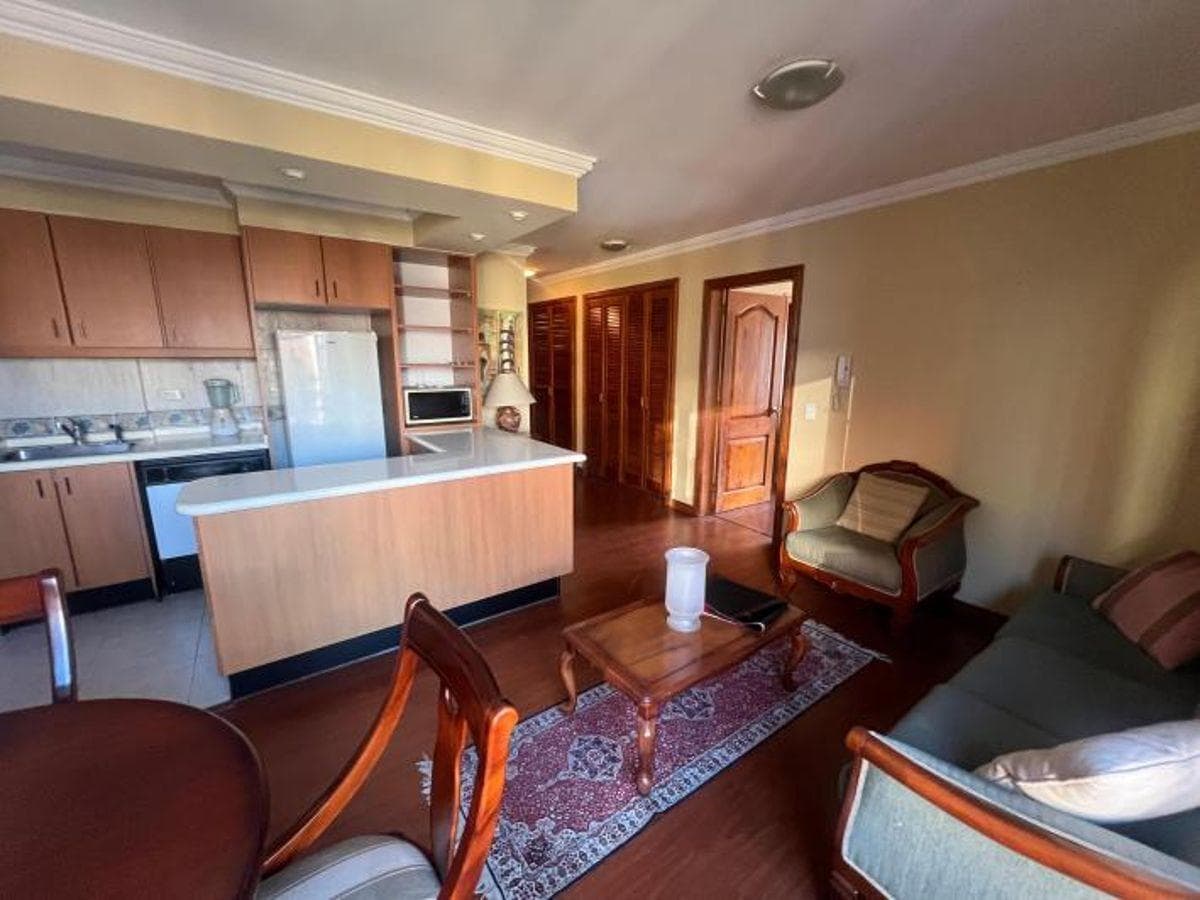 Bellavista, Suite de Venta Piso 7 con Vista — imagen 8