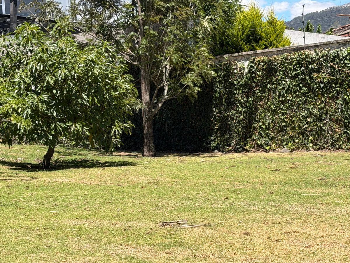 Vendo Casa en Planta Baja 680 m² de Construcción, 1.940 m² Terreno Cumbayá 5 Dorm. Formales — imagen 7