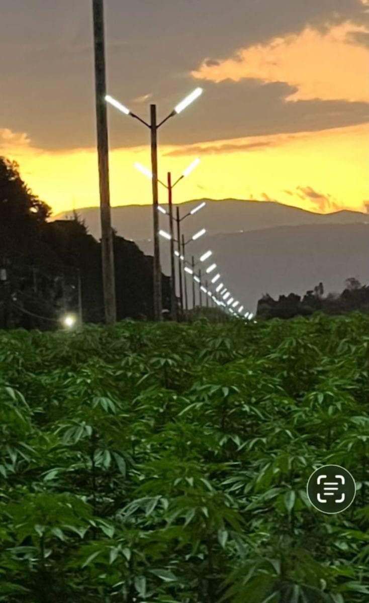 Checa, Vendo Terreno 25.000 m² Terreno, con Sembrío de Flores, Futuro Inmobioiario, Sector Seguro — imagen 8