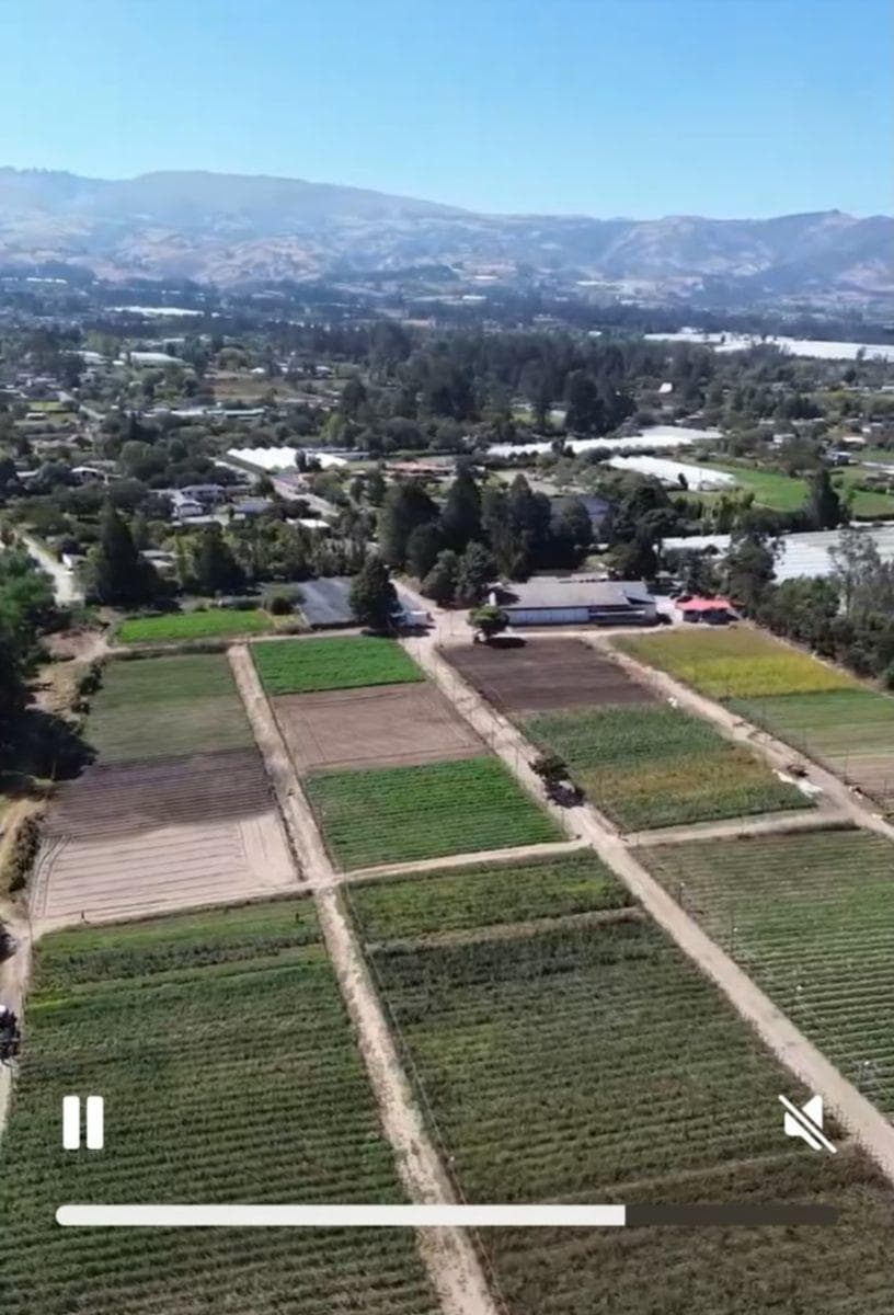 Checa, Vendo Terreno 25.000 m² Terreno, con Sembrío de Flores, Futuro Inmobioiario, Sector Seguro — imagen 7
