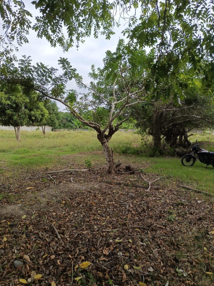 Inversión Estratégica en Tonsupa | Terreno 1.500 m² — imagen 1