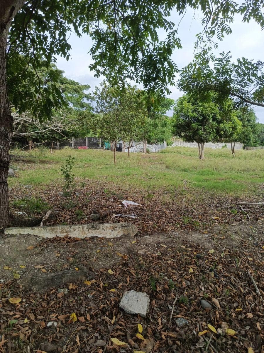 Inversión Estratégica en Tonsupa | Terreno 1.500 m² — imagen 5