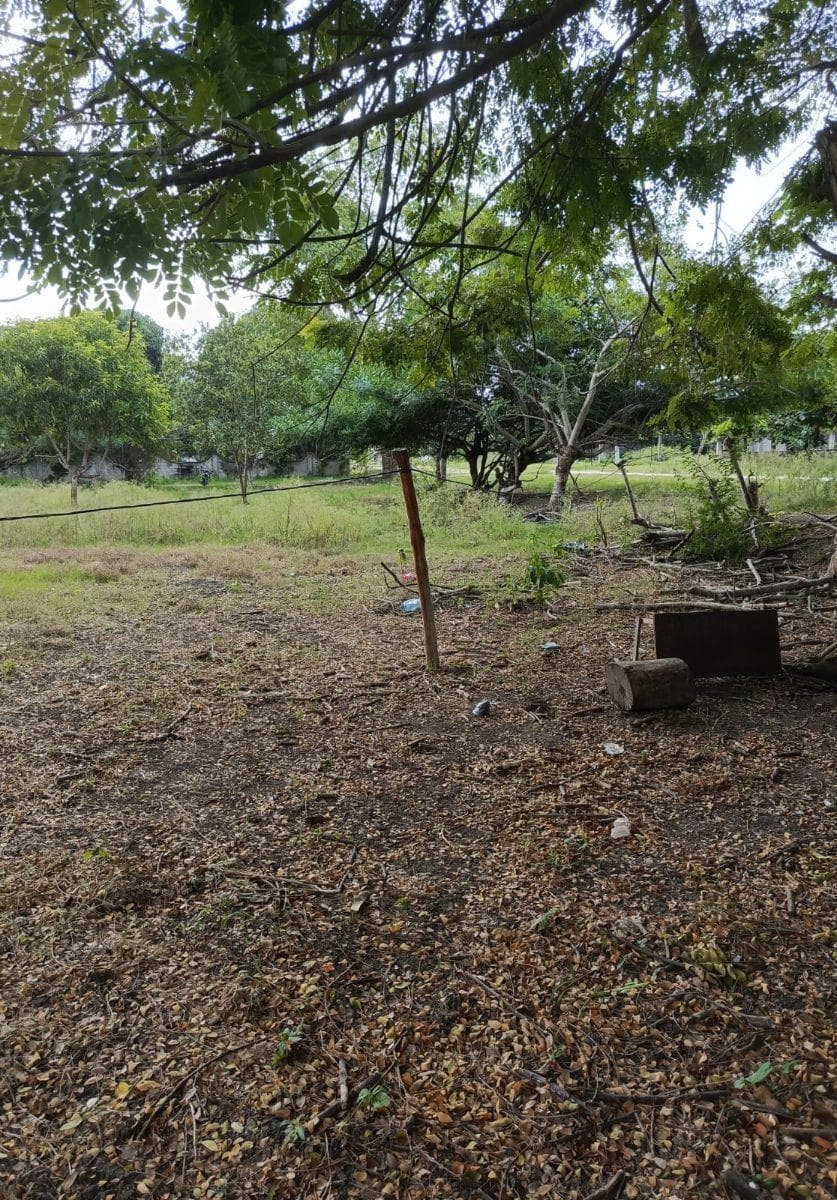 Inversión Estratégica en Tonsupa | Terreno 1.500 m² — imagen 4