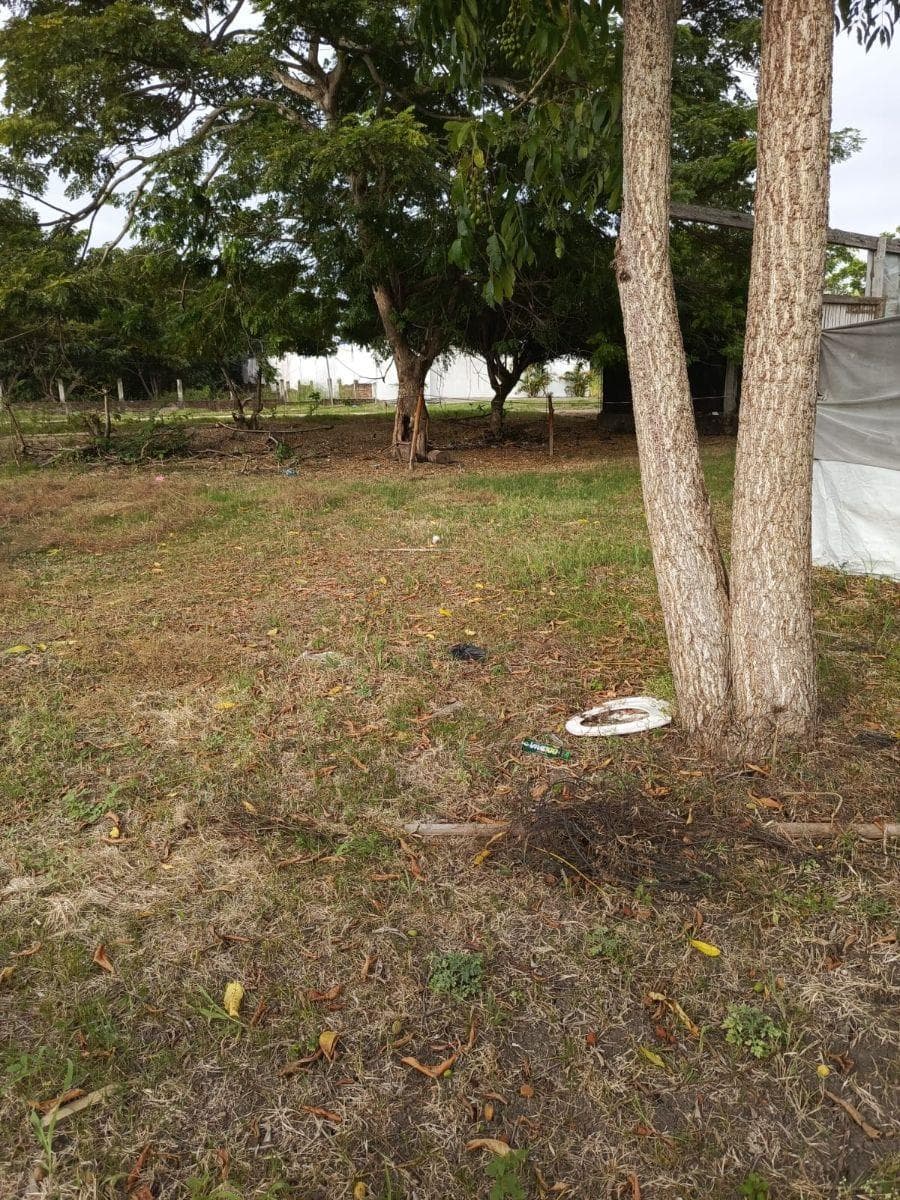 Inversión Estratégica en Tonsupa | Terreno 1.500 m² — imagen 3