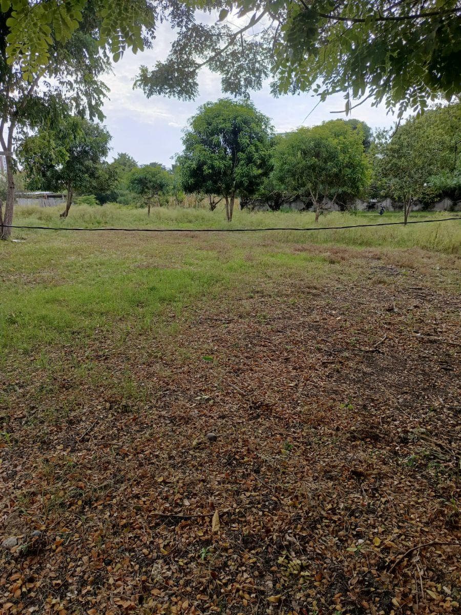 Inversión Estratégica en Tonsupa | Terreno 1.500 m² — imagen 2
