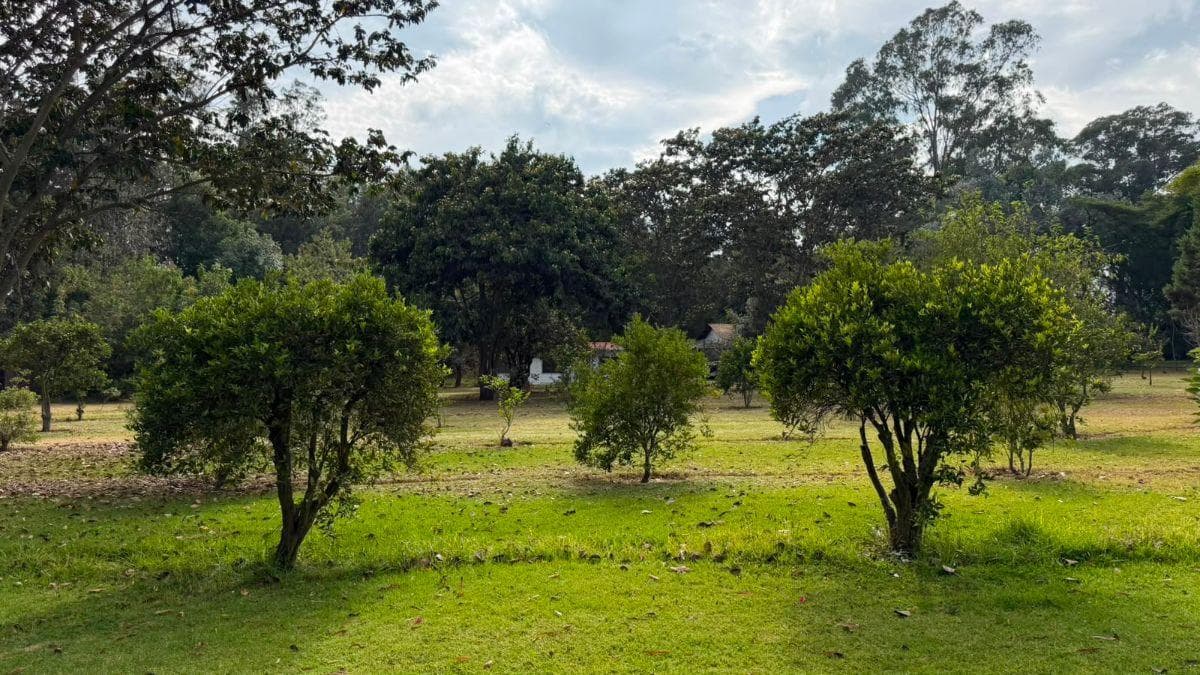 Terreno de Venta Sector de Puembo — imagen 10