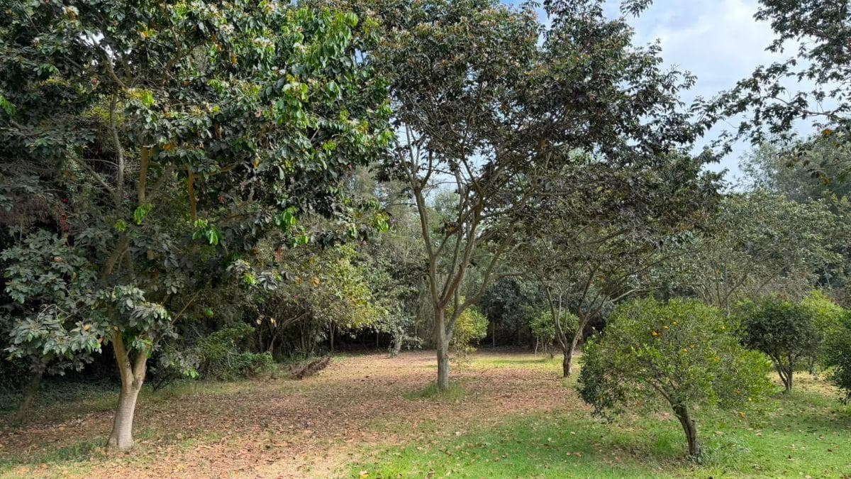 Terreno de Venta Sector de Puembo — imagen 9