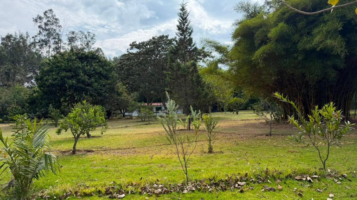 Terreno de Venta Sector de Puembo — imagen 8