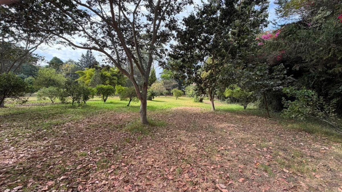 Terreno de Venta Sector de Puembo — imagen 7