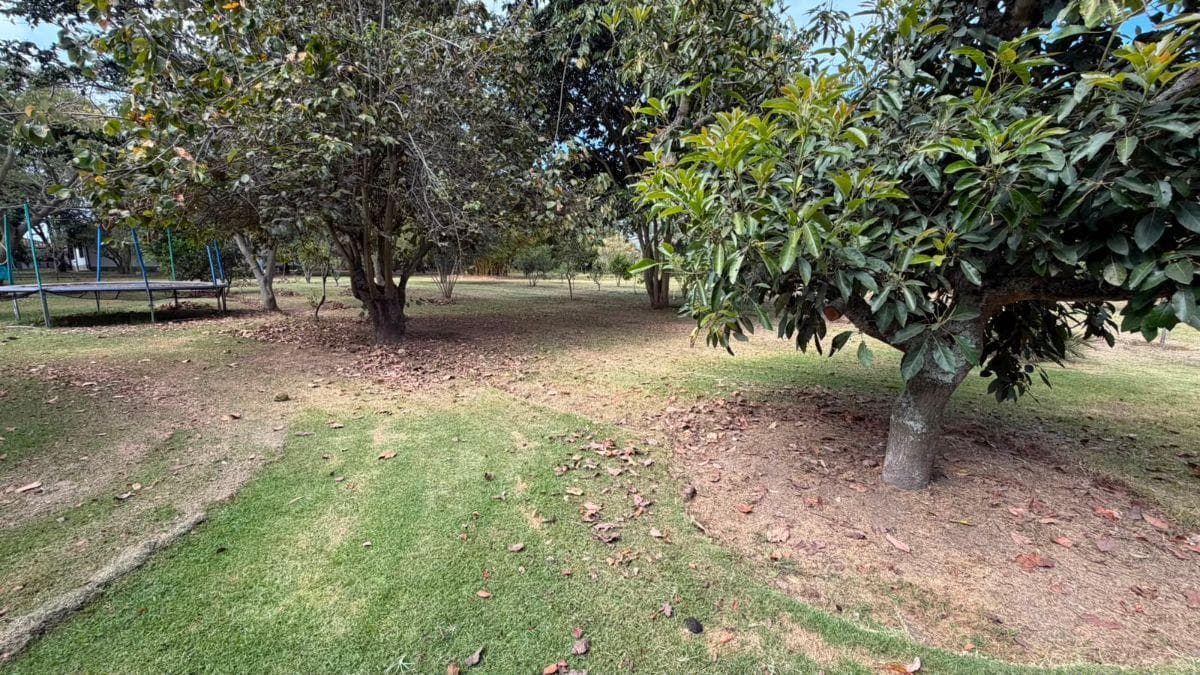Terreno de Venta Sector de Puembo — imagen 5
