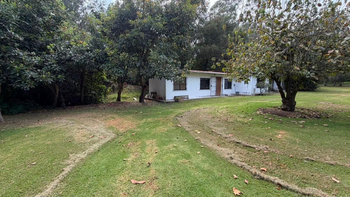 Terreno de Venta Sector de Puembo — imagen 4